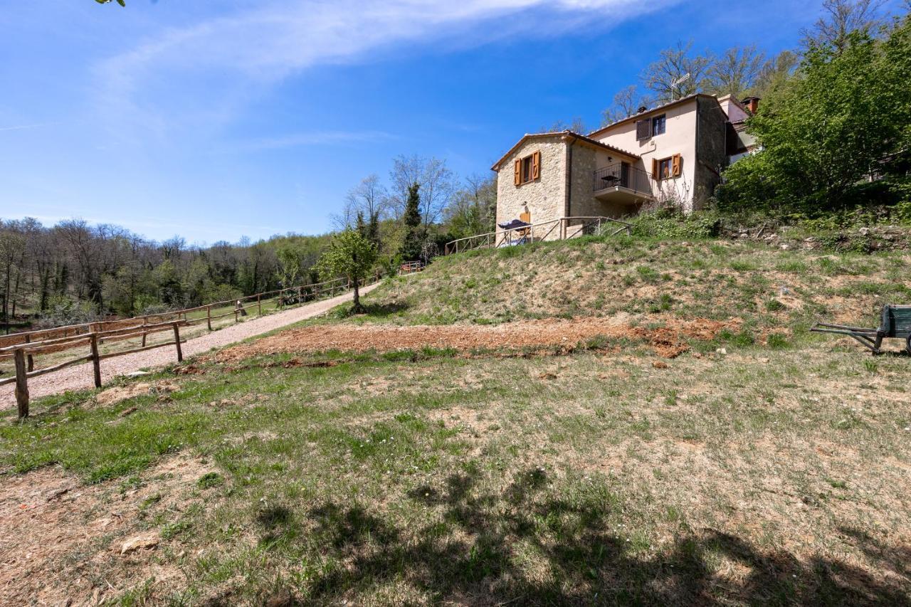 Podere Del Ciacchi Among Tuscany Greenery - Happy Rentals Montieri Exterior foto