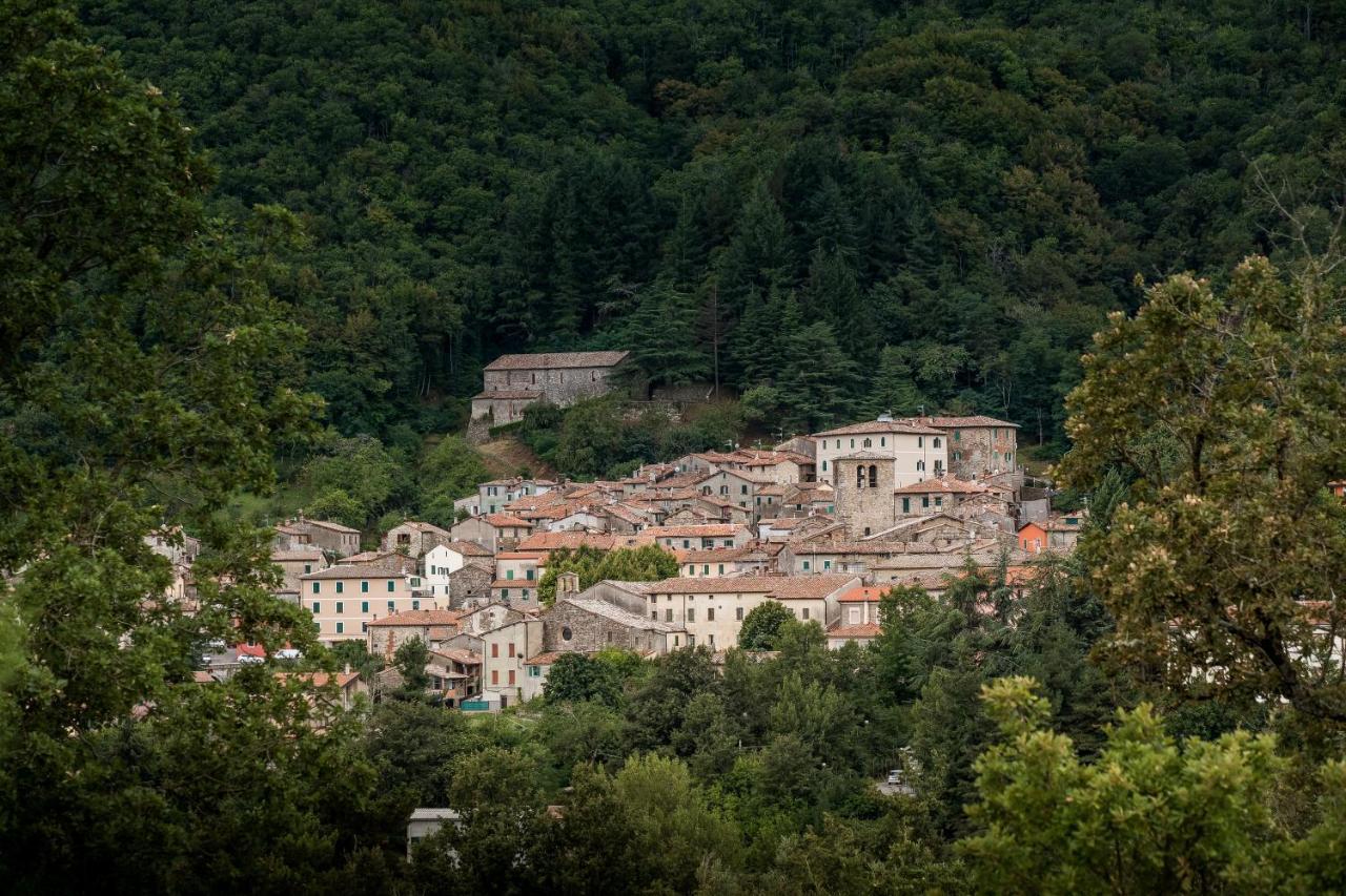 Podere Del Ciacchi Among Tuscany Greenery - Happy Rentals Montieri Exterior foto